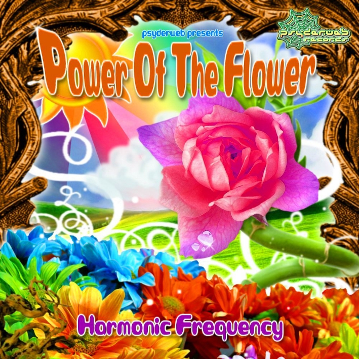 Harmonic Frequency - Pink Butterflies